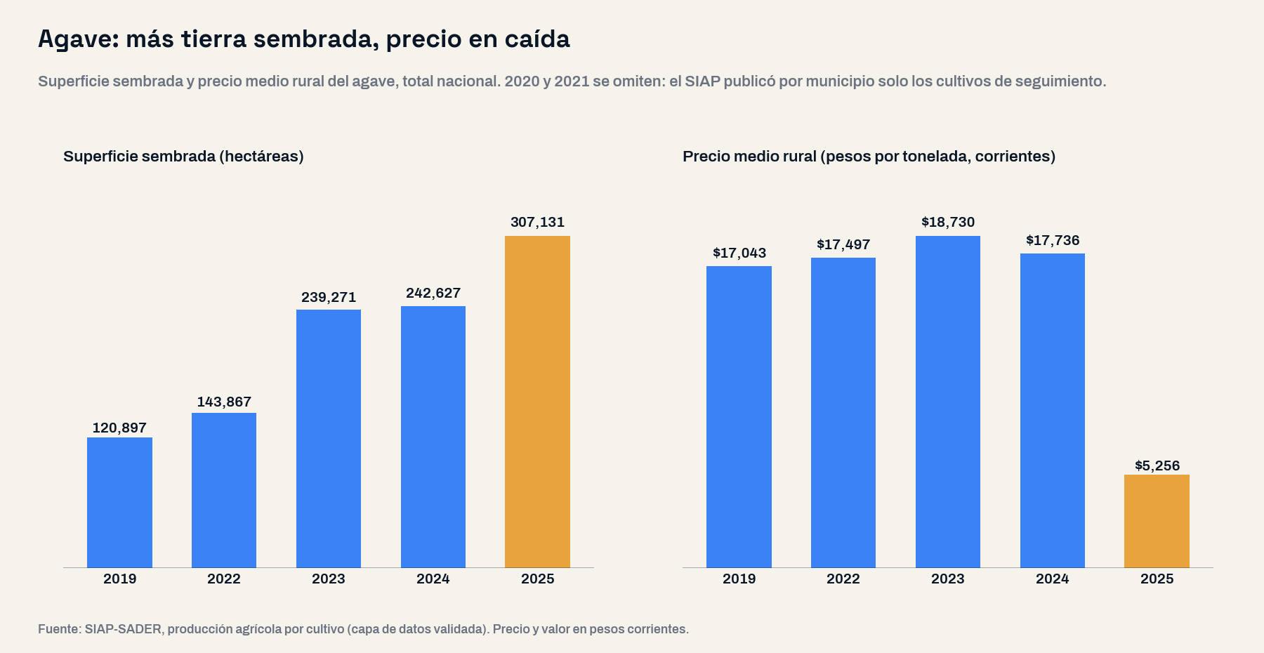 Dos gráficas de barras del agave a nivel nacional: la superficie sembrada sube de 120,897 hectáreas en 2019 a 307,131 en 2025, mientras el precio medio rural se mantiene entre 17 mil y 18,730 pesos por tonelada hasta 2024 y cae a 5,256 pesos en 2025
